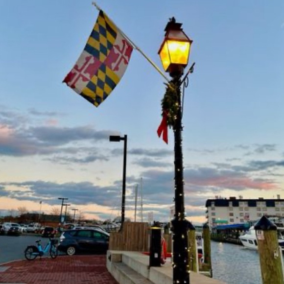 Sold beyond this point :) - Picture 3 of 3